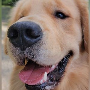 Meet your Posher, Lydia